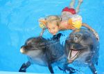поплавать с дельфинами бердянск