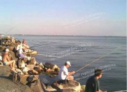 рыбалка дамбы бердянск