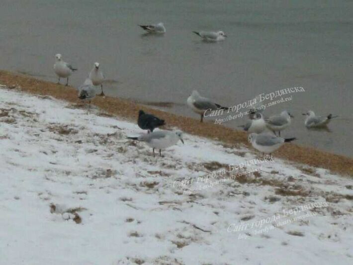 1_20
